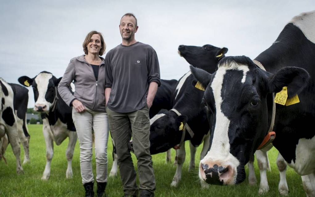 WOUDENBERG. Het melkveehoudersechtpaar Kees en Carla van Ravenhorst hoopt dat ”burgers” mee willen betalen voor de weidegang van hun koeien. Ze lanceerden deze week het initiatief houddekoeindewei, waarbij consumenten zich tegen betaling kunnen aanmelden 