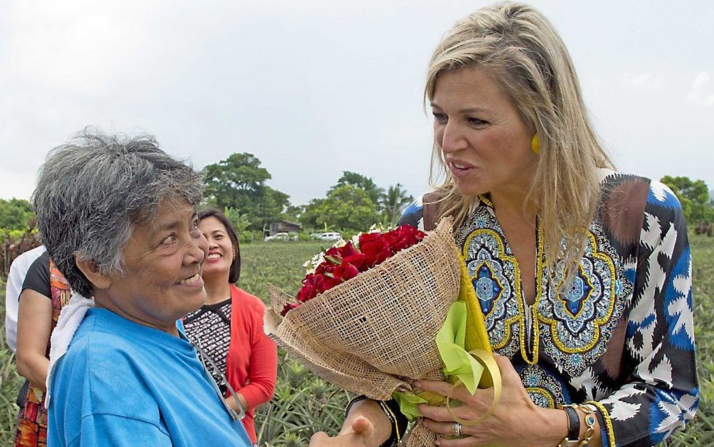 De koningin bezoekt een ananasplantage. beeld ANP