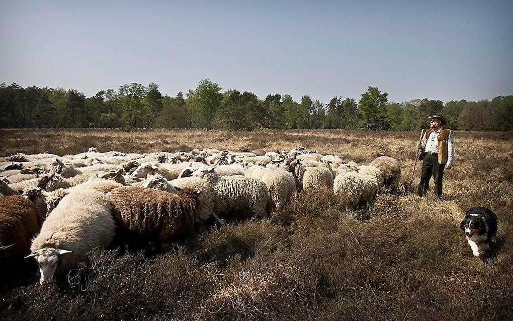 beeld RD, Henk Visscher