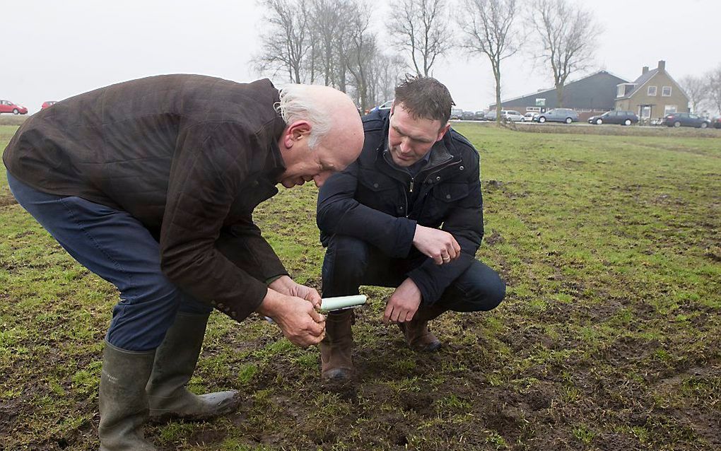 INDIJK. Taxateur Joop Verheul (l) bekeek afgelopen winter met veehouder Jacob van der Wal de muizenschade op een perceel grasland. beeld RD, Anton Dommerholt