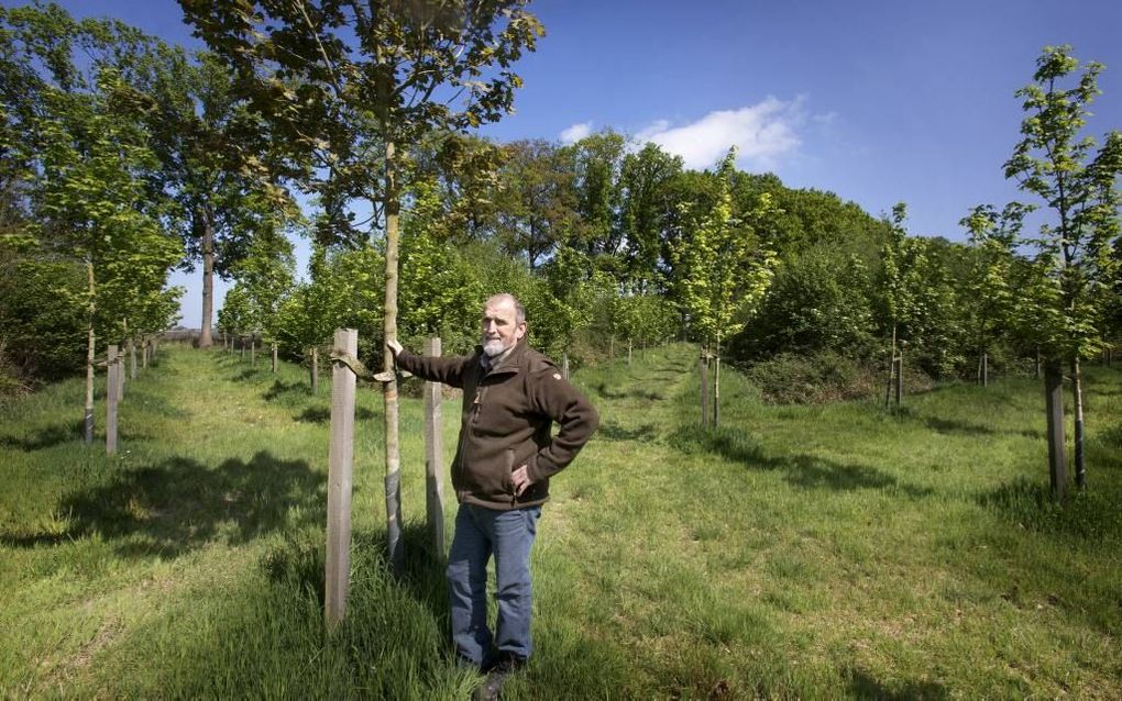 Beheerder Theo Hartman bij de centrale boom van het sterrenbos op Landgoed IJsselvliedt.  Foto RD, Henk Visscher