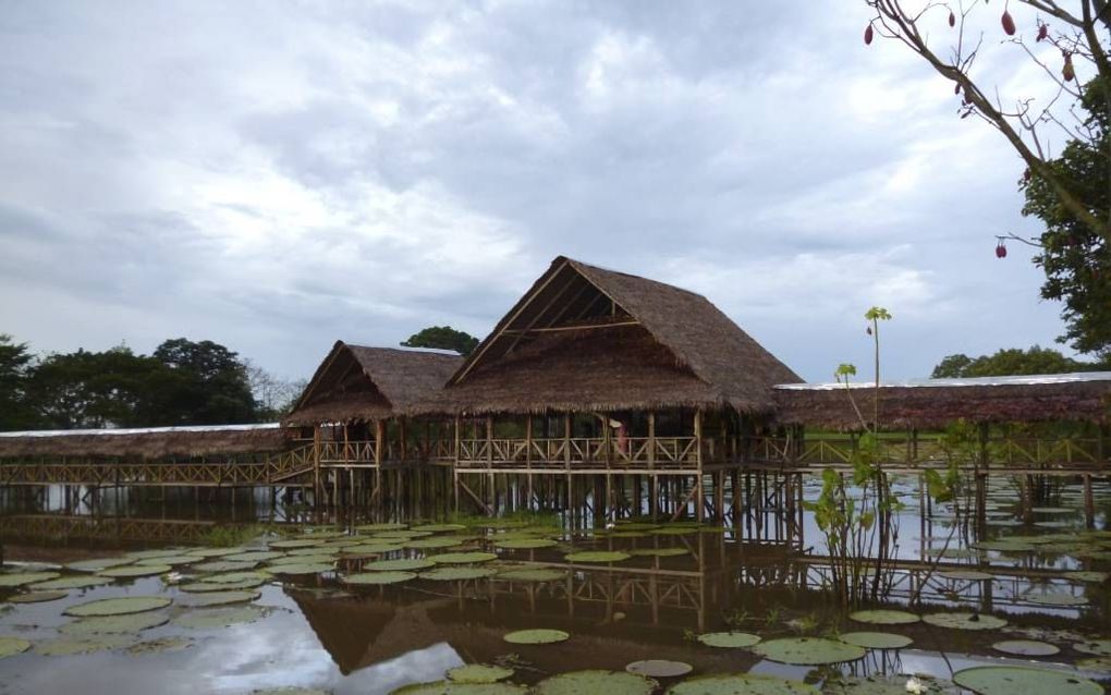 Traditionele huizen boven een zijtak van de Amazonerivier in Colombia. beeld Wikimedia