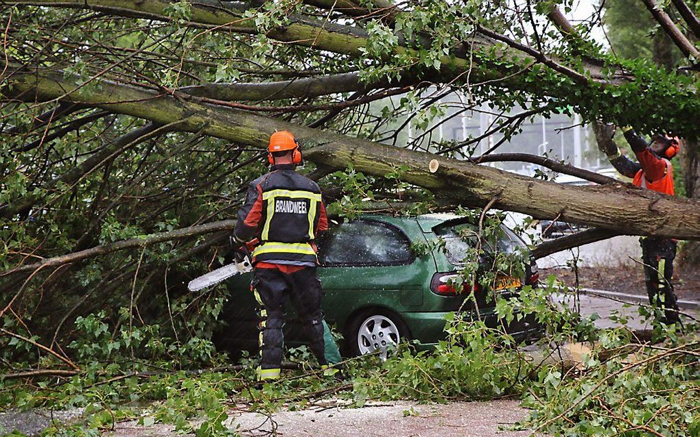 Boom op auto in Leiden. Beeld ANP