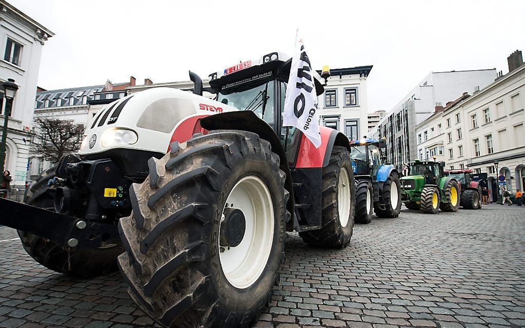 Boze boeren in Brussel. Beeld EPA