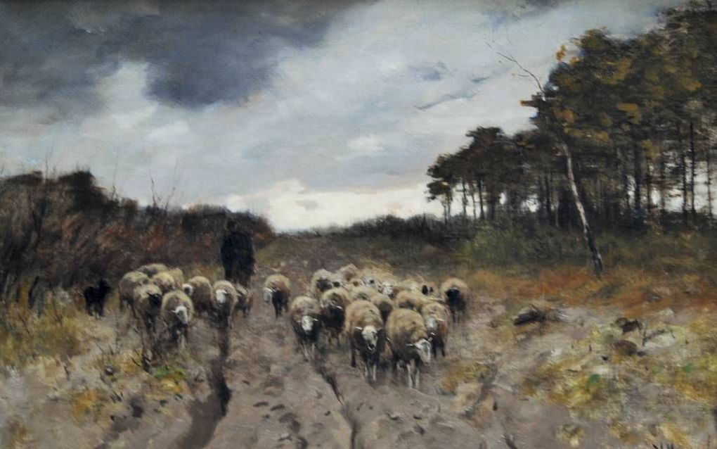 ”Schaapskudde bij Laren”, door Anton Mauve. beeld Noord-Veluws Museum, Nunspeet