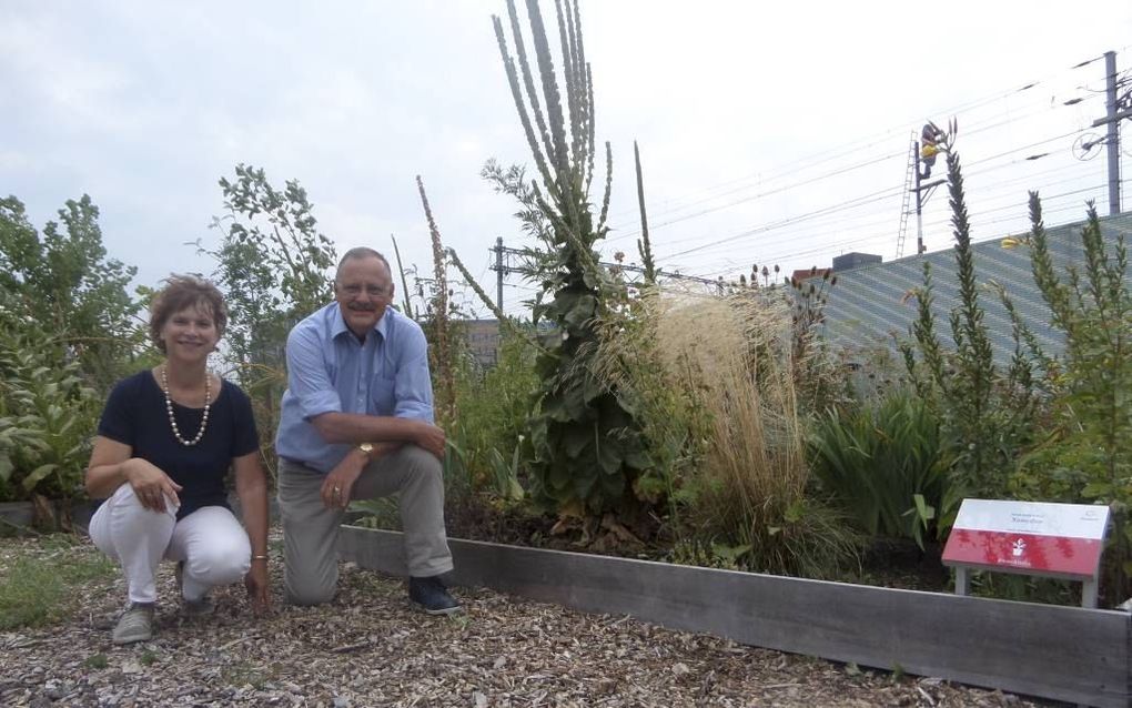 Conny Broeyer en Jan Willem Broekema zetten zich in om in Leiden een aaneengesloten stadspark te realiseren. beeld Jeroen Langelaar