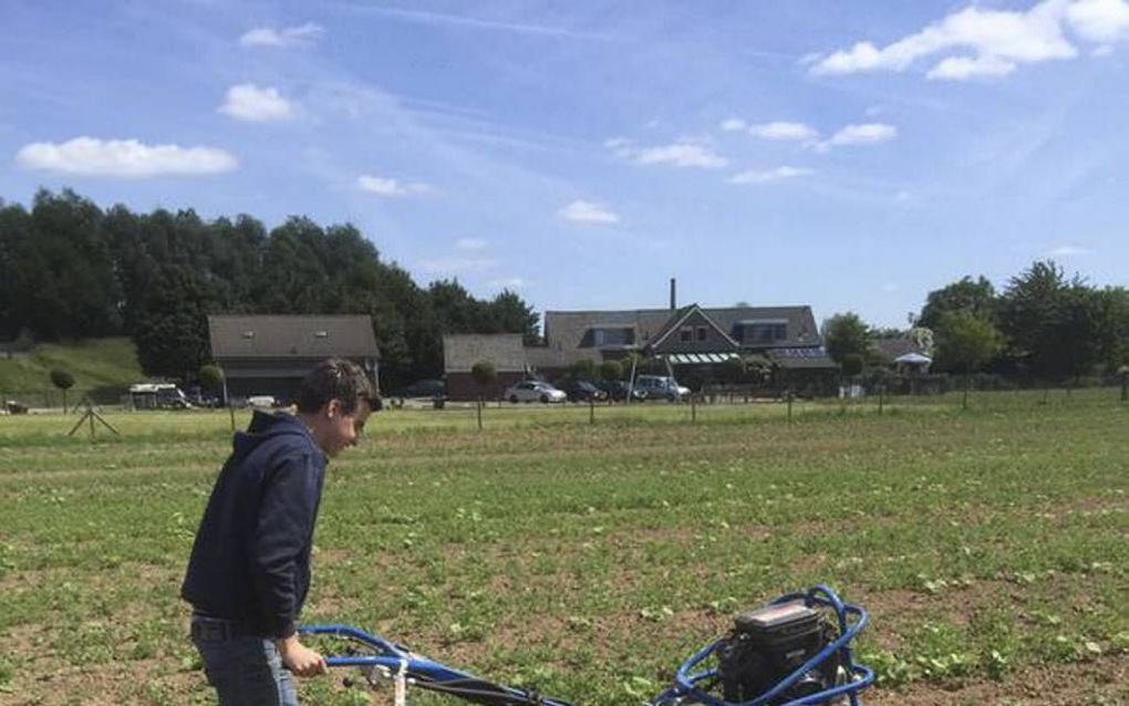 „Tijdens de teelt van pompoenen moet er handmatig onkruid verwijderd worden. Momenteel kijken we hoe we dit kunnen mechaniseren”, twitterde agrariër Stijn Derks begin deze week bij deze foto. beeld Stijn Derks