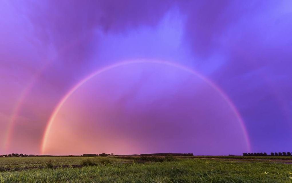 De foto die Ellen Kievit-van den Doel woensdagavond maakte in de polder achter Sommelsdijk wordt massaal gedeeld op social media. Foto Ellen Kievit-van den Doe