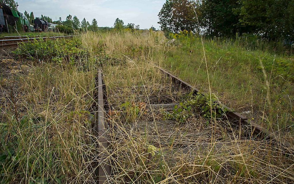 De geheimzinnige ‘nazitrein’ bestaat echt en bevindt zich in Polen. Hij werd gevonden nadat iemand op zijn sterfbed had onthuld waar de trein is verstopt. beeld EPA