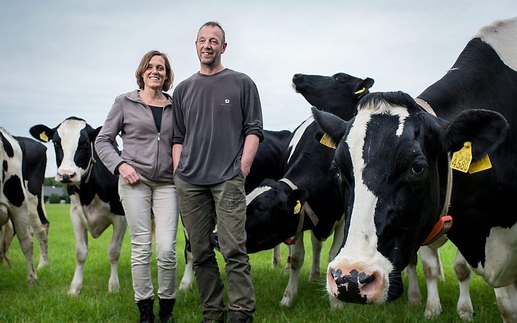 WOUDENBERG. Kees en Clara van Ravenhorst, initiatiefnemers van ”Houd de koe in de wei". beeld Niek Stam