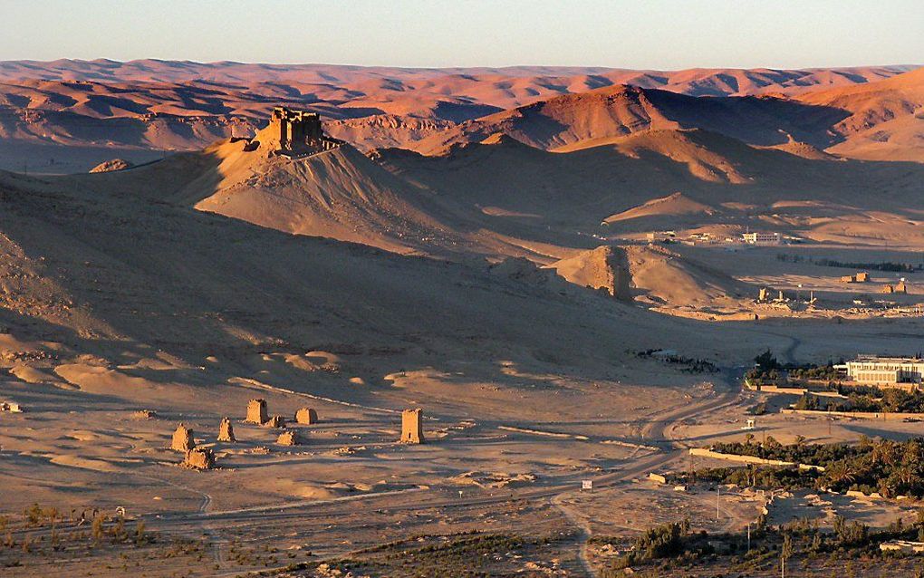 PALMYRA. Archiefopname van de antieke Syrische stad Palmyra, met daarop de graftorens zichtbaar, die IS vorige week heeft verwoest. beeld AFP