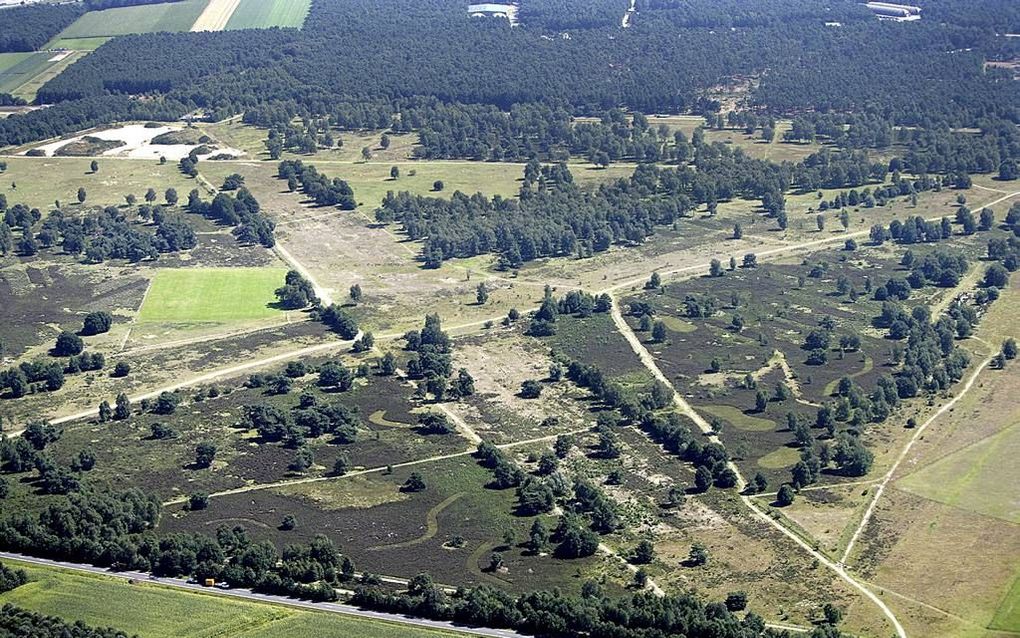 In het landschap zijn nog steeds de twee kruisende landingsbanenvan Fliegerhorst Venlo te zien. In de Tweede Wereldoorlog gebruikten de Duitsers dit vliegveld om geallieerde bommenwerpers op weg naar het Ruhrgebied aan te vallen. beeld RD, Henk Visscher