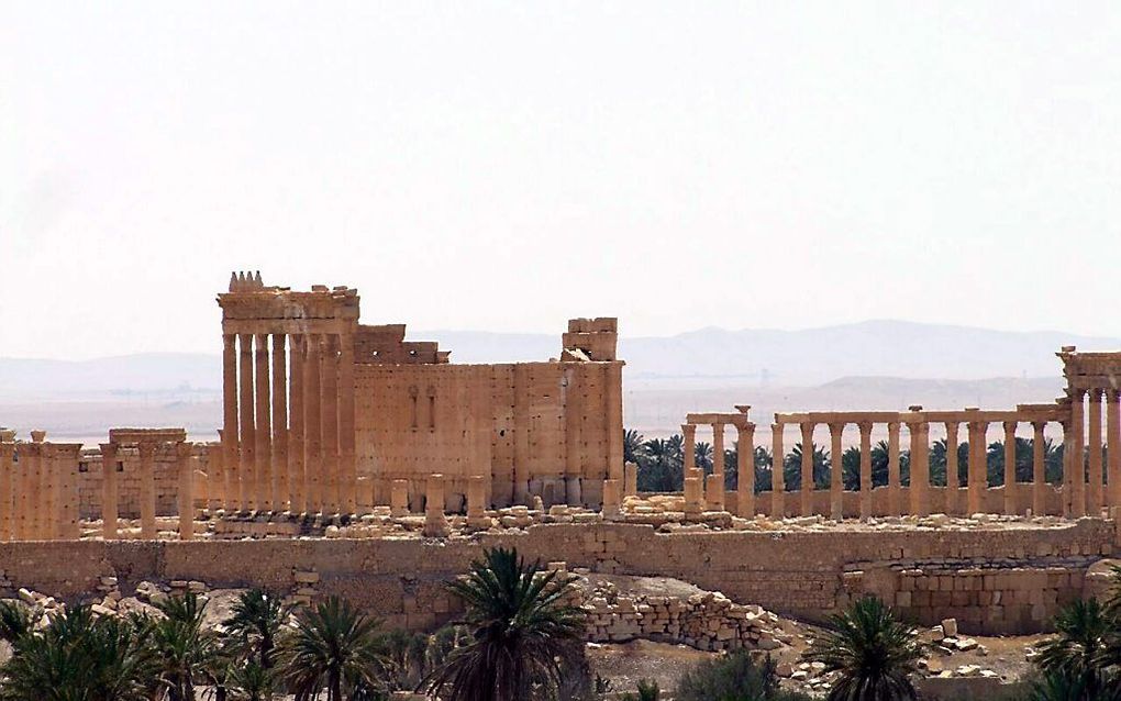 De historische stad Palmyra. Beeld AFP