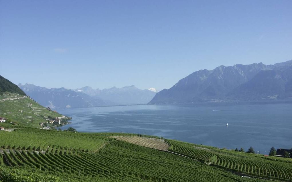 GENÈVE. Het traject Genève 2 van het 1800 kilometer lange Hugenoten- en Waldenzenpad ligt tussen het Zwitserse Genève en Céligny. beeld Wim Eradus