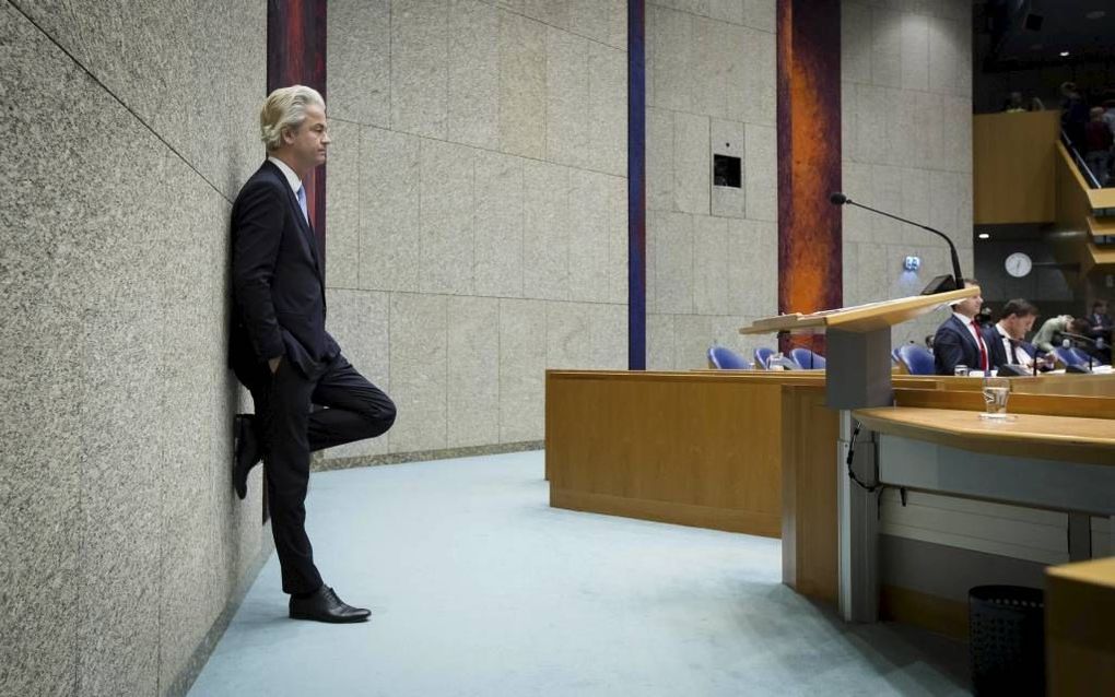 Wilders. beeld ANP