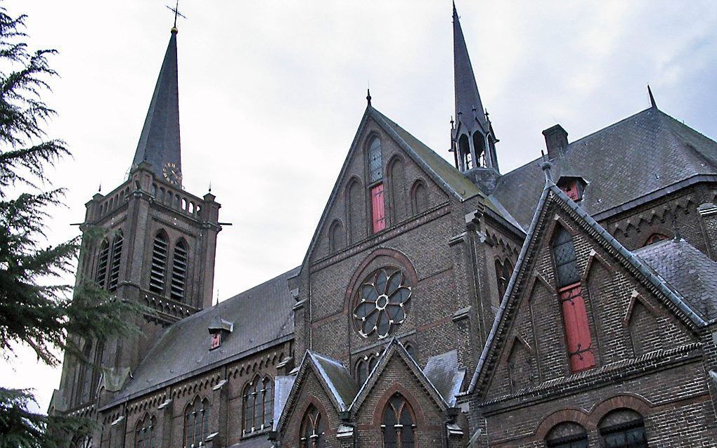 De Willibrorduskerk in Heeswijk wordt bedreigd door de slopershamer. beeld Wikimedia/WoutervD