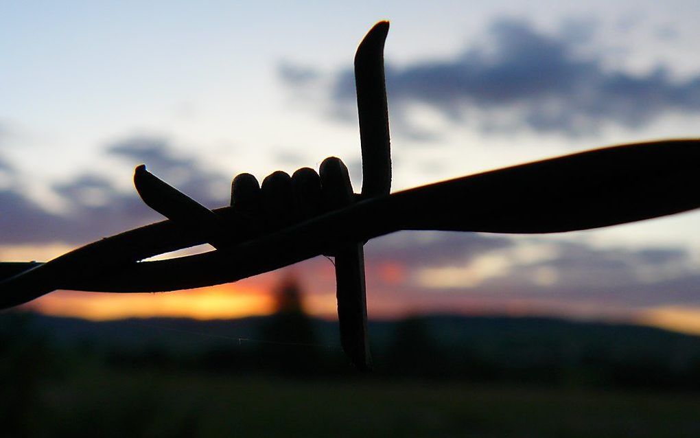 Duitsland krijgt een gezant voor godsdienstvrijheid. beeld RD