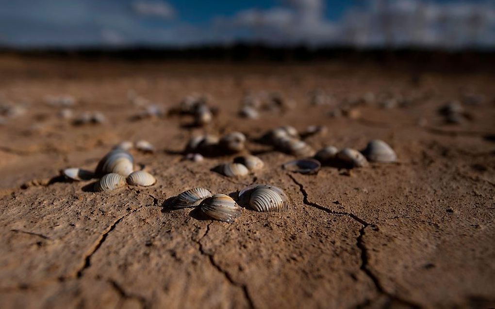 Droogte in Spanje. beeld AFP