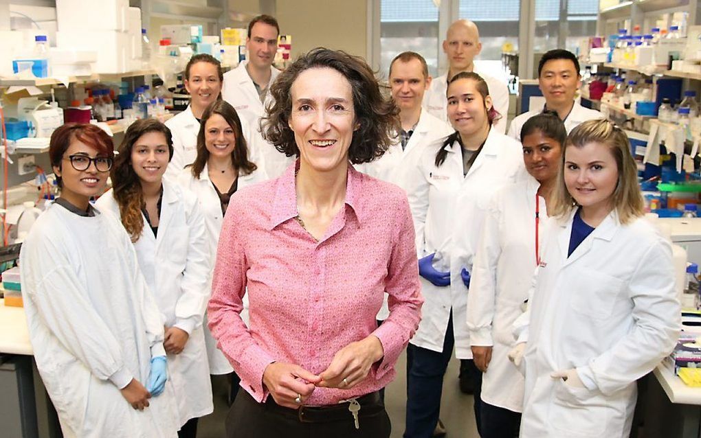 Prof. Sally Dunwoodie en haar team, verbonden aan het Victor Chang Cardiac Research Institute in Sydney (Australië). Het onderzoeksteam ontdekte dat de gevolgen van genmutaties die leiden tot miskramen en de geboorte van muizen met aangeboren afwijkingen 