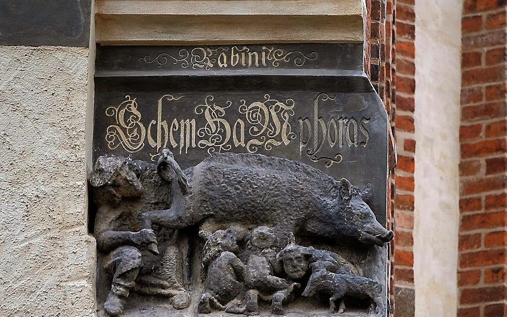 De Jodenzeug op de muur van de Stadskerk in Wittenberg. beeld EPD, Norbert Neetz