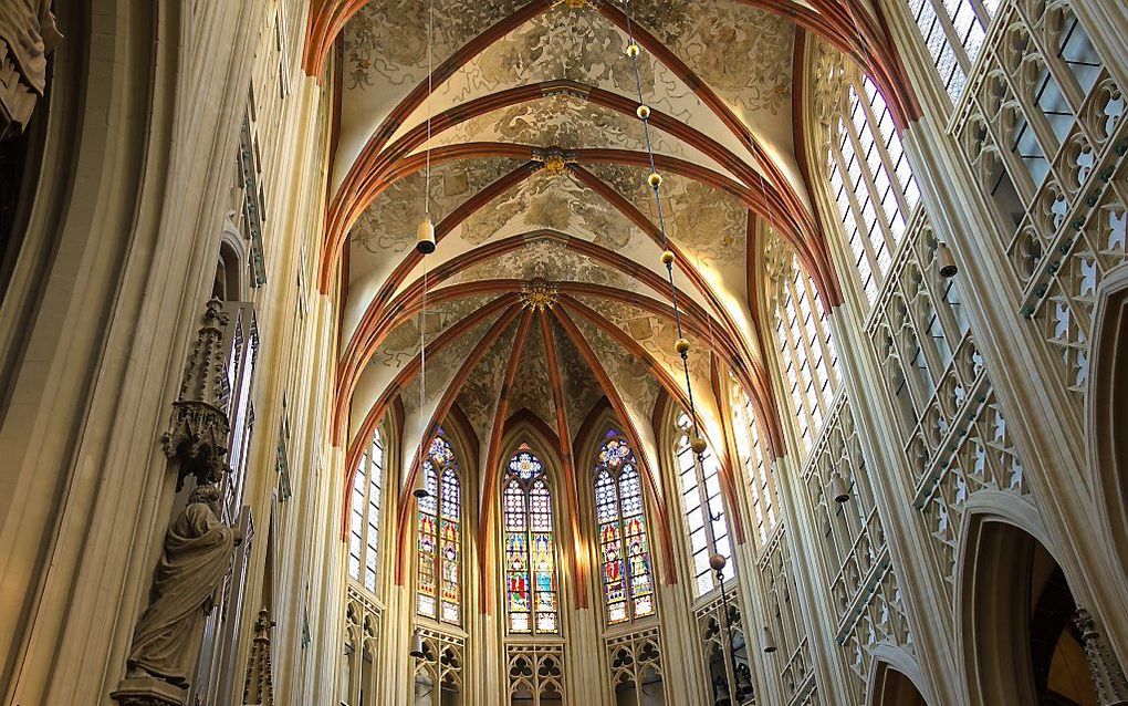 „Terwijl ik daar in de kerk liep, en de namen op de graven en de opschriften in de kapellen las, viel het zonlicht door de hoge vensters naar binnen en werd alles opgetild in dit licht. Ineens zag ik heel de geschiedenis van deze kerk voor me.” beeld iSto