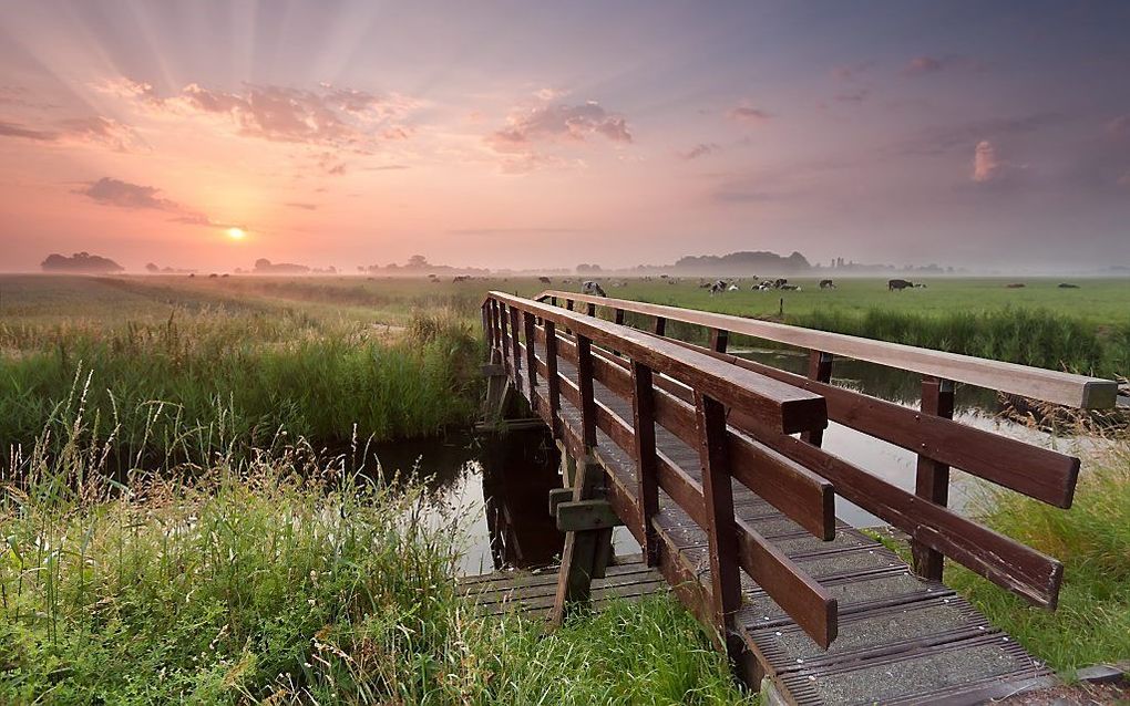 „Een brugleuning geeft iemand die dreigt te vallen pas houvast als hij die brugleu-ning vastgrijpt. Wij grijpen de ‘brugleuning’ van het Evangelie vast met de handen van het geloof.” beeld iStock