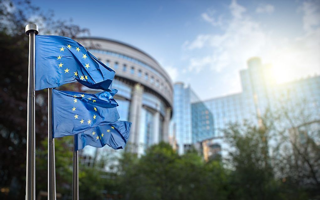 De vlag van de EU. beeld: iStock