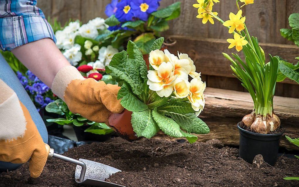 „Het mooie van de lente is dat ze zoveel belofte in zich draagt.” beeld istock