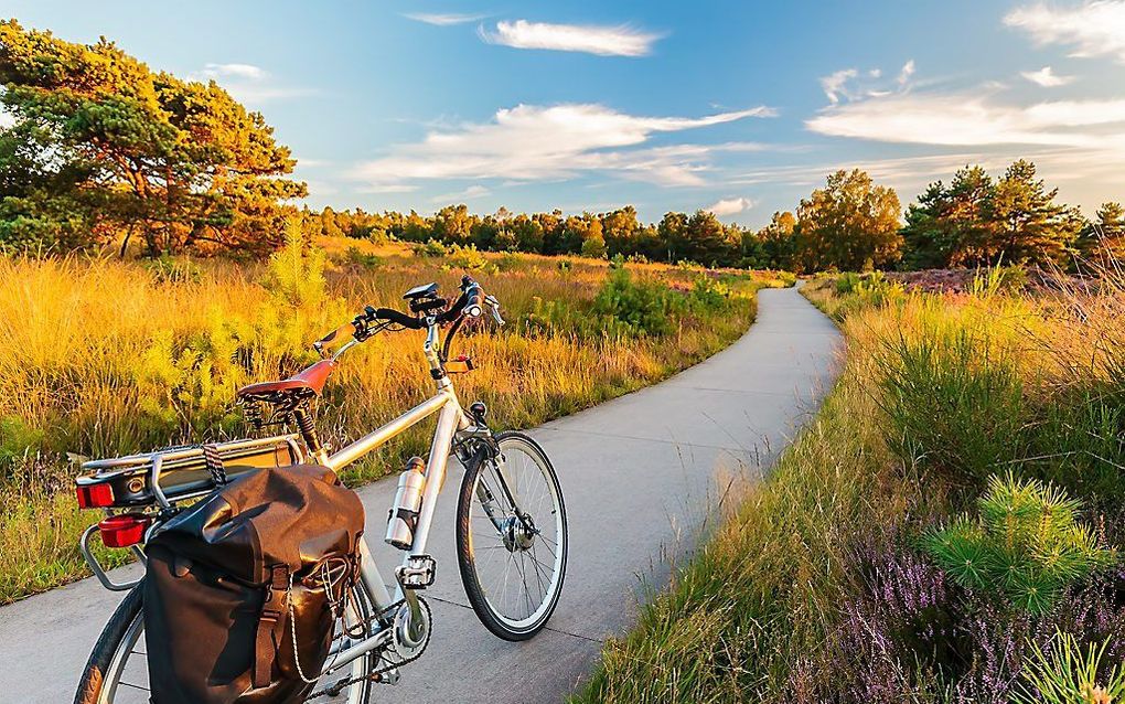 Een e-bike. beeld iStock