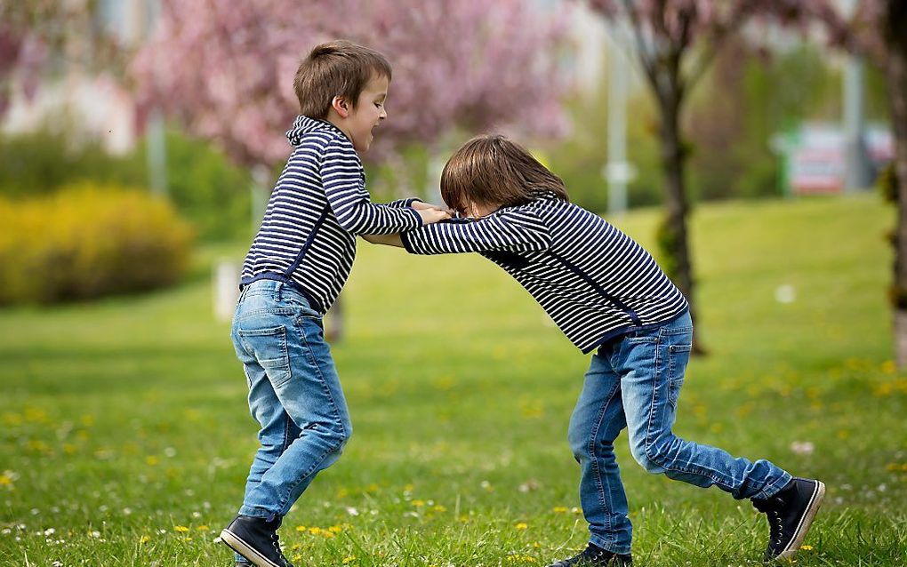 beeld iStock