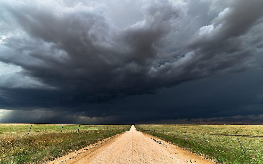 beeld iStock