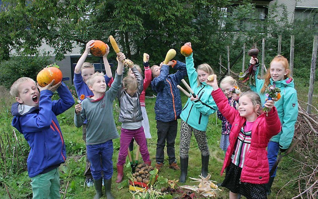 Moestuinproject. beeld Er op uit!