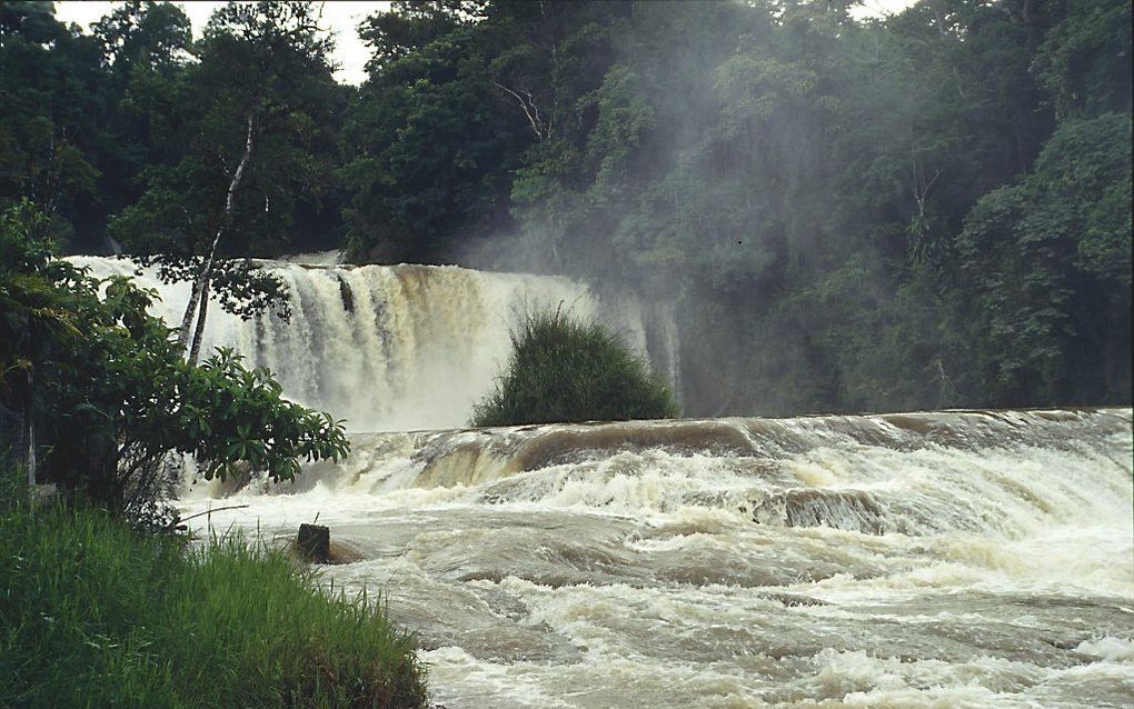 De Mexicaanse deelstaat Chiapas telt veel protestanten in het nog steeds rooms-katholieke land.         beeld RD