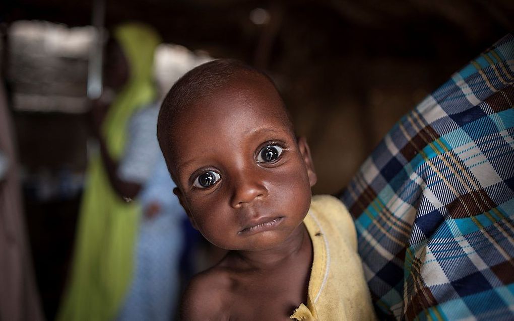 Duizenden kinderen in de Nigeriaanse staat Borno zijn zo ondervoed dat ze elk moment kunnen overlijden. beeld AFP