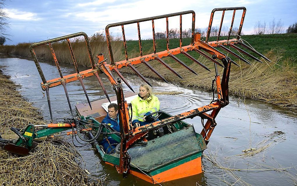 beeld ANP, Lex van Lieshout