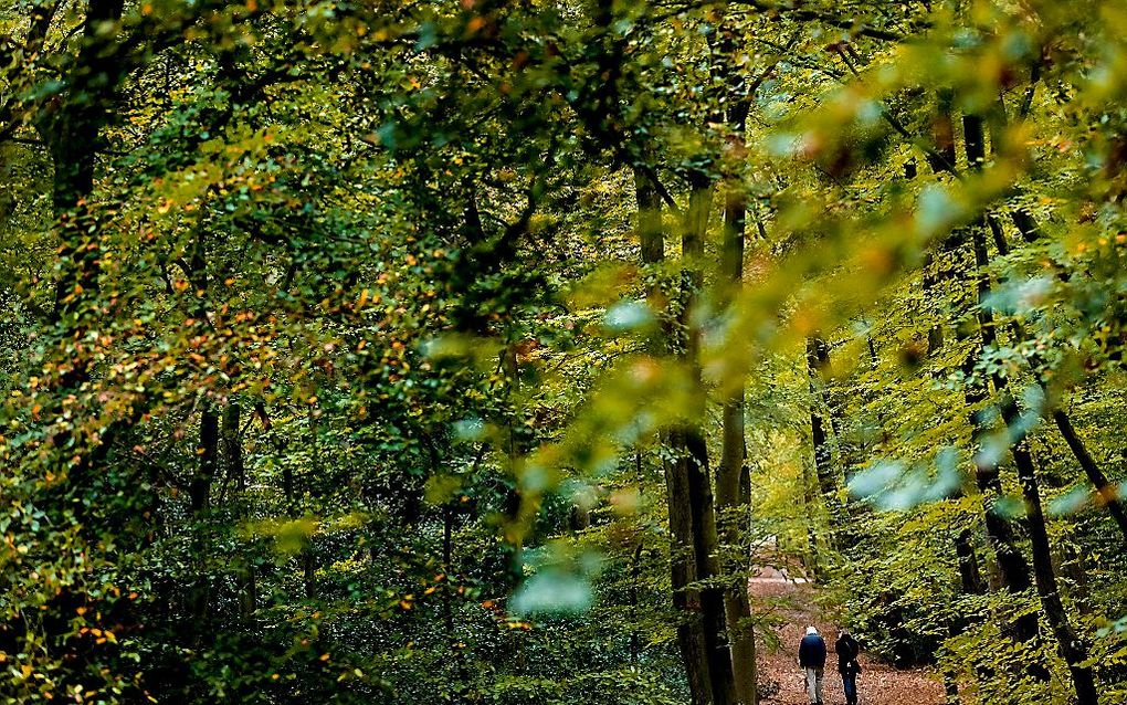 Voor meteorologen is de herfst begonnen
