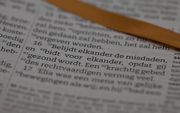 We moeten ernst maken met het Bijbelwoord ”belijdt elkander de misdaden”. beeld RD, André Dorst