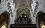 Het Schyvenorgel in de Kathedraal van Antwerpen. beeld Jacques Lecleire