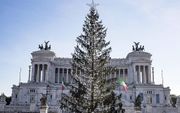 De officiële kerstboom in Rome verliest in snel tempo veel naalden. beeld EPA, Massimo Percossi
