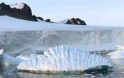 IJsberg op Antarctica. beeld AFP, Andrew Spepherd