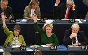 Het Europees Parlement stemde woensdag over het instellen van een strafprocedure tegen Hongarije. beeld AFP