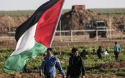 Palestijnen mogen straks in Nederland bij de burgerlijke stand opgeven dat ze in de Gazastrook of de Westelijke Jordaanoever zijn geboren. beeld AFP, Mahmud Hams