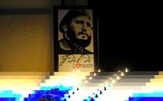 HAVANA. De Cubaanse leider Fidel Castro zal voor de meesten als bedenkelijk icoon de geschiedenis ingaan. beeld AFP, Yamil Lage