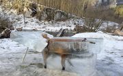 Een vos die door het ijs zakte en vastvroor in de Donau is omgeturnd tot ijssculptuur. Jager Franz Stehle ontdekte het dier in het ijs en zaagde het uit. De vos prijkt nu als ”fox on the rocks" aan de rand van de rivier bij het Duitse stadje Fridingen, al