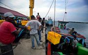 Indonesische vissers lossen een schip in de haven van Kuala Langsa (Atjeh). beeld EPA, Dedi Sinuhaji