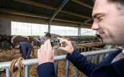 Staatssecretaris Van Dam bezoekt een boerderij. beeld ANP, Ferdy Damman