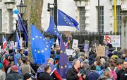 Protest bij Downing Street 10 in Londen. beeld EPA