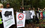 Betoging tegen de houtkap. beeld AFP