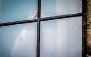 D66-leider Pechtold kijkt door een kiertje in het raam van de Stadhouderskamer. beeld ANP