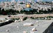 Jeruzalem vanaf de Olijfberg. beeld AFP